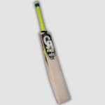 CA_PRO_8000_Asian_sports_llc