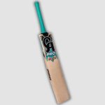 CA_PRO_2000_Asian_sports_llc
