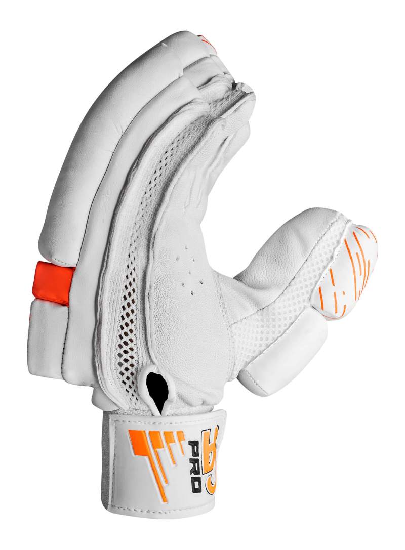CA Pro 5000 3