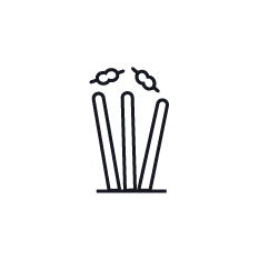 wickets_Asian_sports_llc