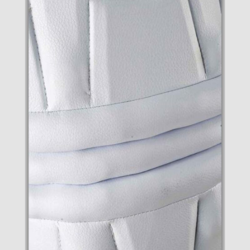 CA_PRO_10000_ASIANSPORTSLLC